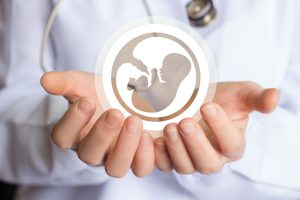 Icon of the embryo in the doctor's hand.