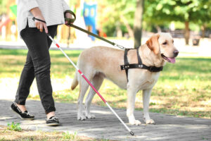 cane-G