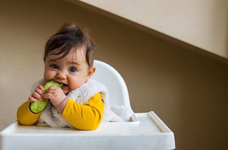 Healthy cute caucasian baby boy have, eat vegan raw supplementary food at home in his highchair. Vegan infant concept.