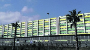 perrino brindisi