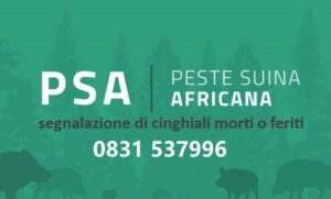 PSA BRINDISI