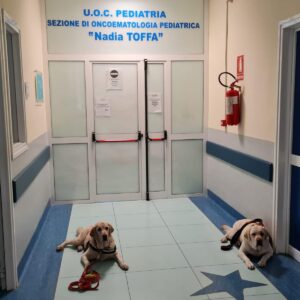 pediatria cani