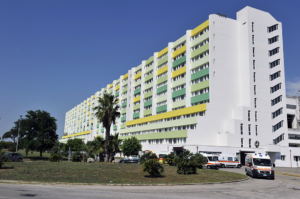 perrino di brindisi-photoaidcom-2x-ai-zoom