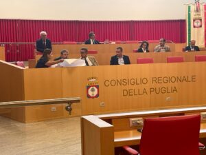 18-7-23 Audizione Ospedale sud Salento (1)