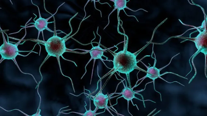 Malattie-neurodegenerative-una-nuova-scoperta-sui-meccanismi-di-morte-cellulare-680x382