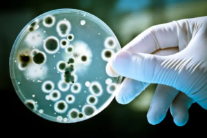 antibiotico-resistenza2-photoaidcom-2x-ai-zoom