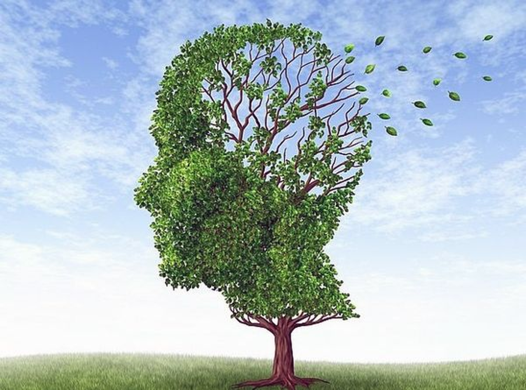 Giornata mondiale dell’ Alzheimer 2023: “non è mai troppo presto, non è mai troppo tardi”
