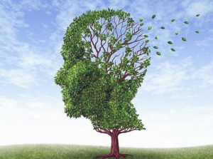alzheimer-photoaidcom-2x-ai-zoom
