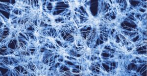 fibre