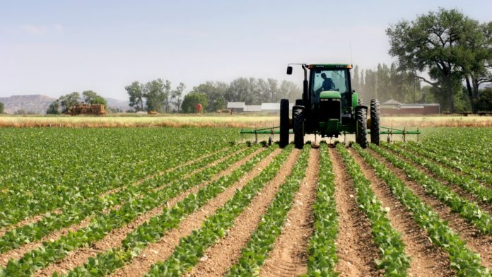 Convegno Nazionale Agricoltura 2023: sicurezza sul lavoro e sostenibilità nel cuore dell’agricoltura pugliese