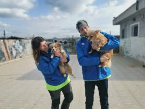 Volontari LNDC Animal Protection all'opera per il progetto Sterilizzare significa amare